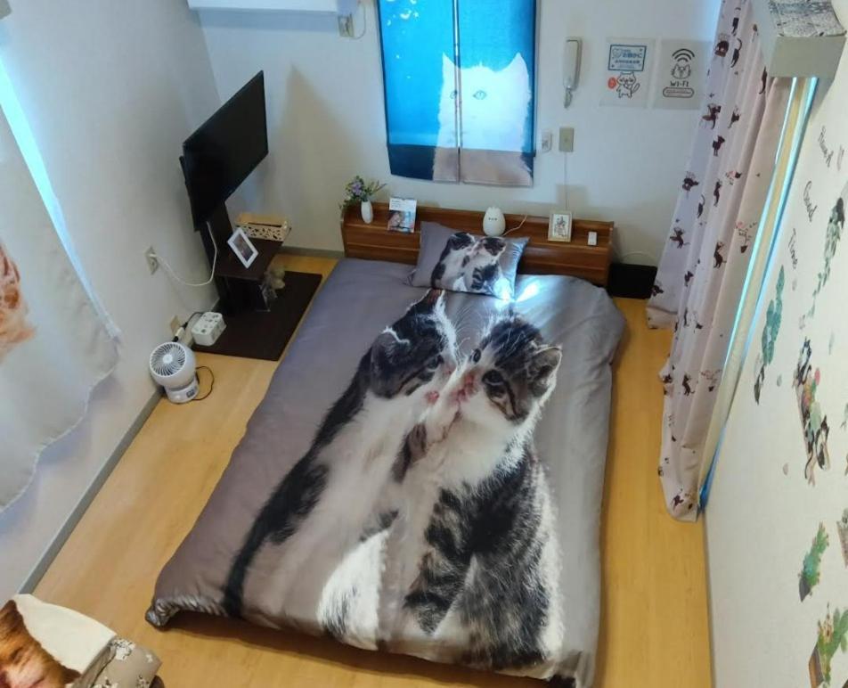 Tokyo Shibuya Shinjyuku Cat House ! Apartment Exterior photo