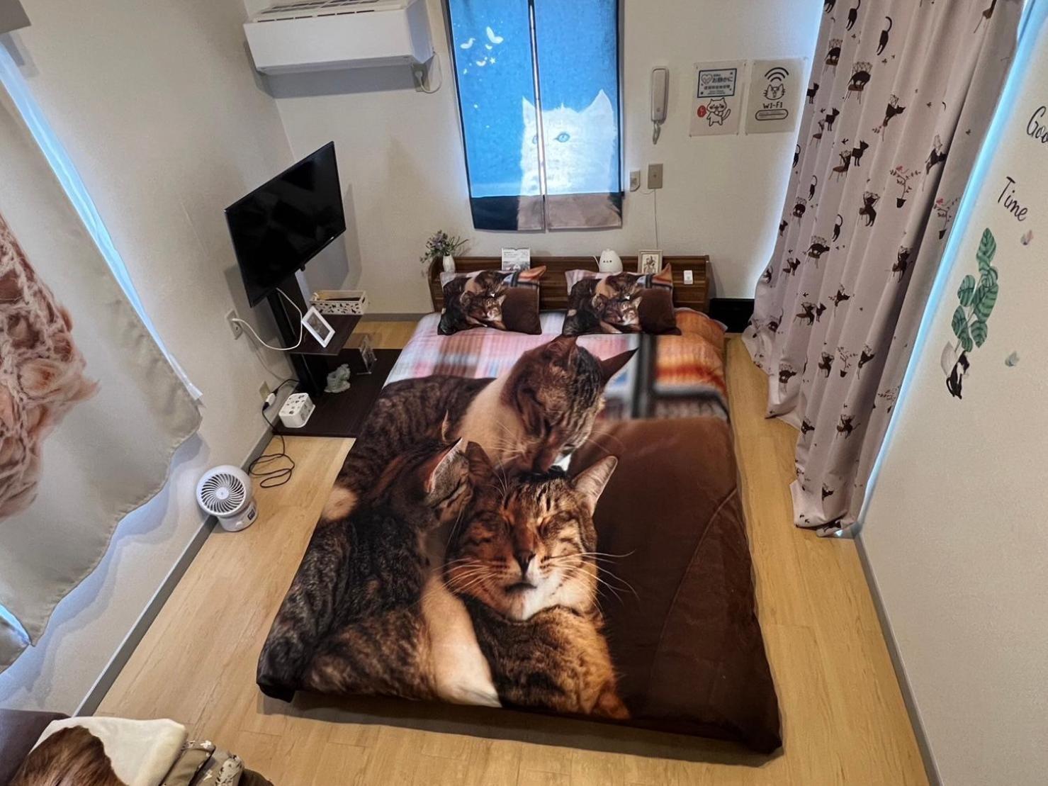 Tokyo Shibuya Shinjyuku Cat House ! Apartment Exterior photo